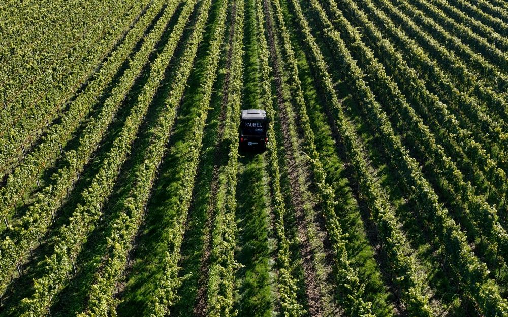 Drohnenaufnahmen Landau Pfalz